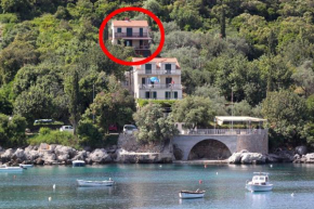 Apartments by the sea Molunat, Dubrovnik - 8550